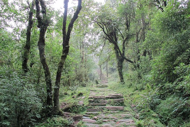 1-Day Private Dhampus Trekking Tour - Lunch with vegetarian and non-vegetarian choices