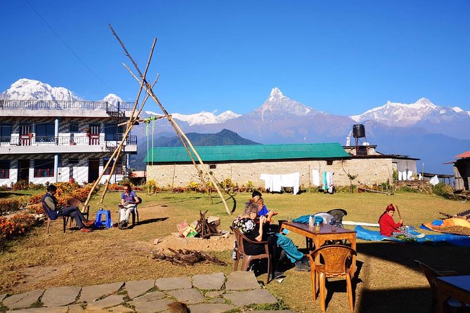 1-Day Private Dhampus Trekking Tour - The guides are a major part of the experience