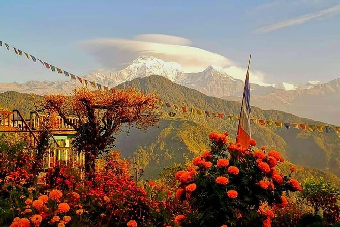 1-Day Private Dhampus Trekking Tour - Leaving Pokhara for Phedi at 8:30 am