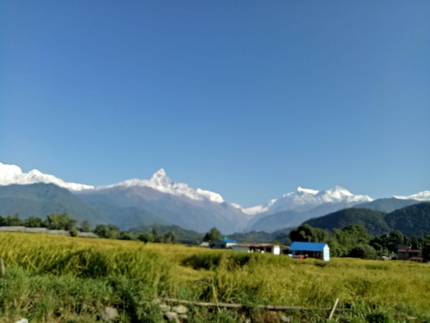 1 N 2 Days easy Dhampus,Australian camp trek from Pokhara - What the guides add