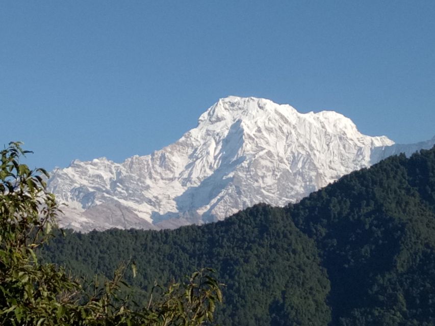 1 N 2 Days easy Dhampus,Australian camp trek from Pokhara - Who should choose this trek?