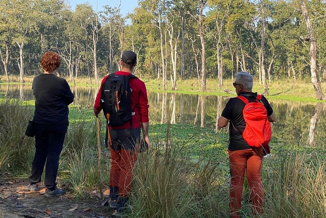 1 Night 2 Days Chitwan Jungle Safari Tour from Kathmandu - The morning jeep safari