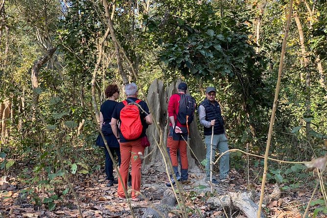 1 Night 2 Days Chitwan Jungle Safari Tour from Kathmandu - Returning to Kathmandu through Thamel
