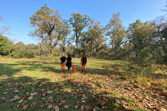 1 Night 2 Days Chitwan Jungle Safari Tour from Pokhara or Kathmandu - The jeep safari and Rapti River sunset