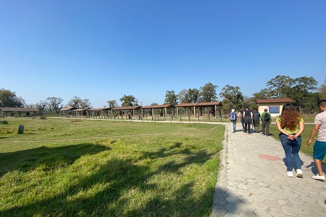 1 Night 2 Days Chitwan Jungle Safari Tour from Pokhara or Kathmandu - Where the schedule can go wrong