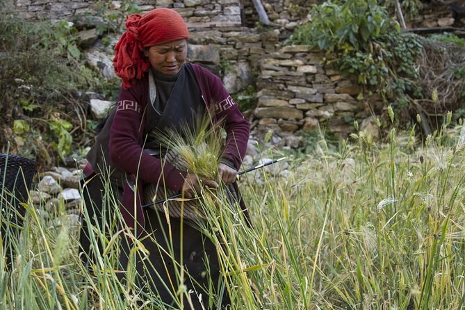 10 Days Manaslu Circuit Trek in Larke La Pass - Day 5: Namrung to Sama Gaon