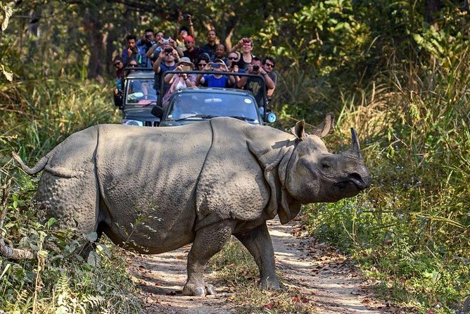 10 days Special Nepal Tour Package - Service, guides and the human side of the trip