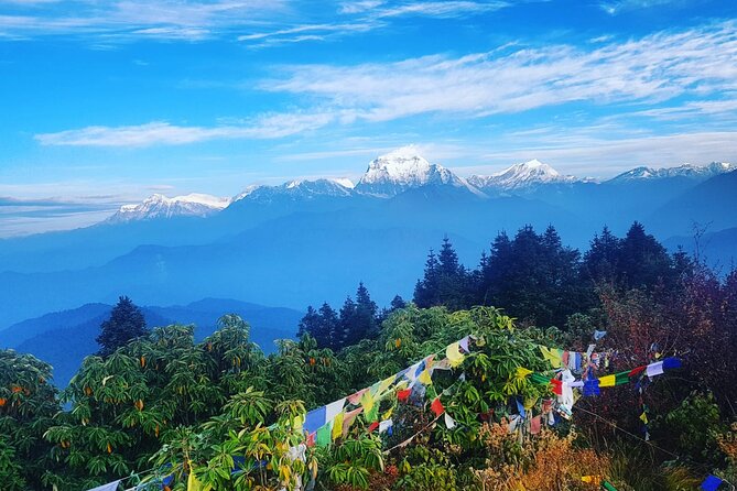 11-Day Hike Tour to Annapurna Base Camp Bliss in Kathmandu - Day 1: A soft landing in Kathmandu