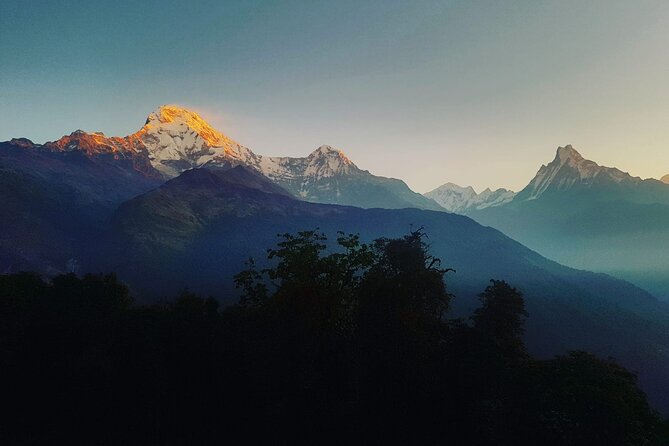 11-Day Hike Tour to Annapurna Base Camp Bliss in Kathmandu - Day 4: Poon Hill sunrise, rhododendrons, and Tadapani