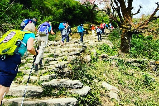 11-Day Hike Tour to Annapurna Base Camp Bliss in Kathmandu - Day 2: Pokhara, Nayapul, and the first village trail
