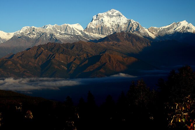 12-Day Nepal Adventure Trek with Jungle Safari - Chitwan changes mountains for jungle