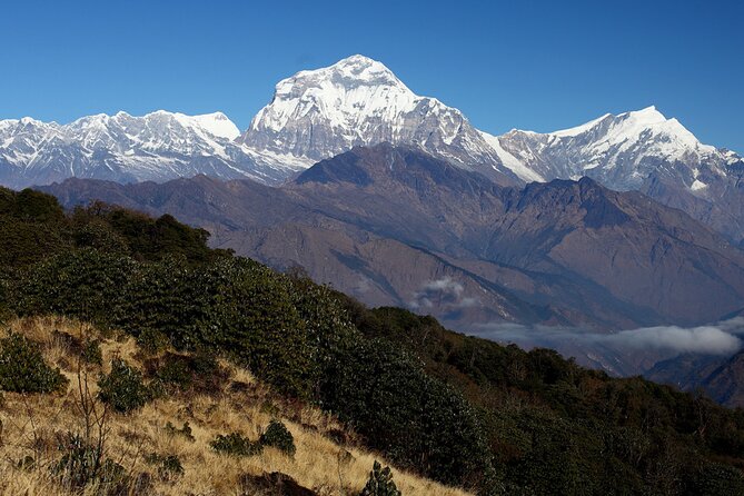 12-Day Nepal Adventure Trek with Jungle Safari - What the $950 price really covers