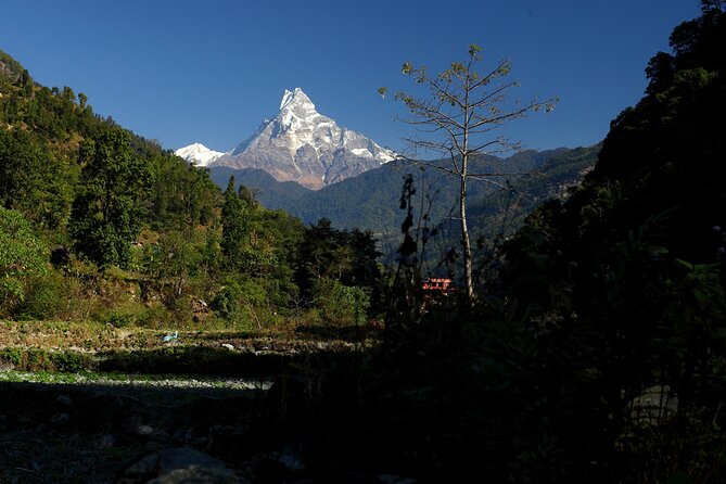 12-Day Nepal Adventure Trek with Jungle Safari - The Poon Hill trek starts gently, then gets serious