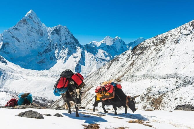 12 Days Everest Base Camp Trek from Kathmandu - Day 4: Rhododendron forest and Tengboche Monastery