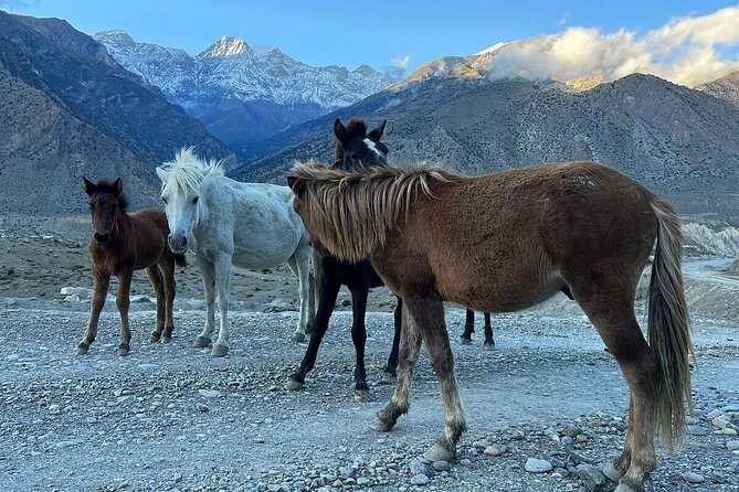 12 Days Overland Tour to Upper Mustang - Day 3: The road from Kathmandu to Pokhara
