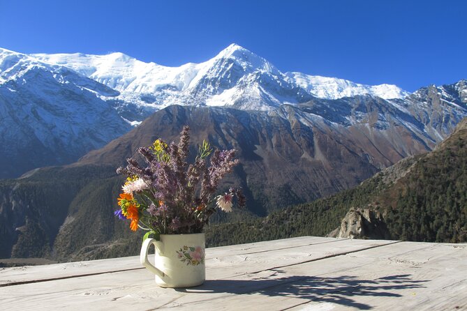 15-Day Private Annapurna Circuit Trek from Kathmandu - Day 5: Pine forest and the approach to Manang