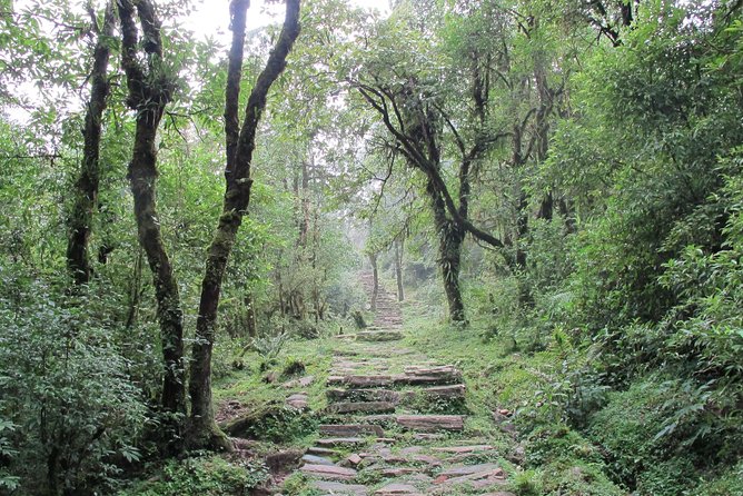 2-Day Private Trekking Tour to Australian Camp & Dhampus - The guest house in Dhampus