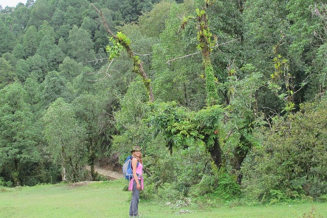 2-Day Private Trekking Tour to Australian Camp & Dhampus - Is $99 a good value?