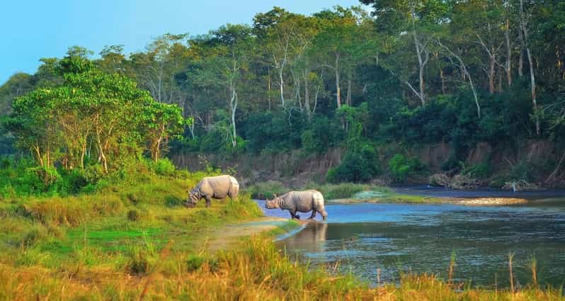 2 Days Chitwan Jungle Safari Tour from Pokhara/Kathmandu - What the $117 price really includes