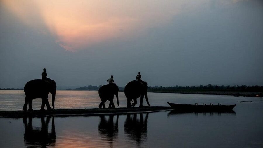 3-Day Chitwan Jungle Safari Adventure From Kathmandu/Pokhara - Who will like this trip most