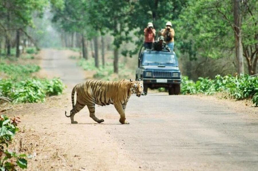 3-Day Chitwan Jungle Safari Adventure From Kathmandu/Pokhara - Sauraha accommodation and meals