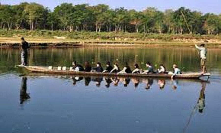 3-Day Chitwan Jungle Safari Adventure From Kathmandu/Pokhara - Day two: canoe, birds, and a jungle walk