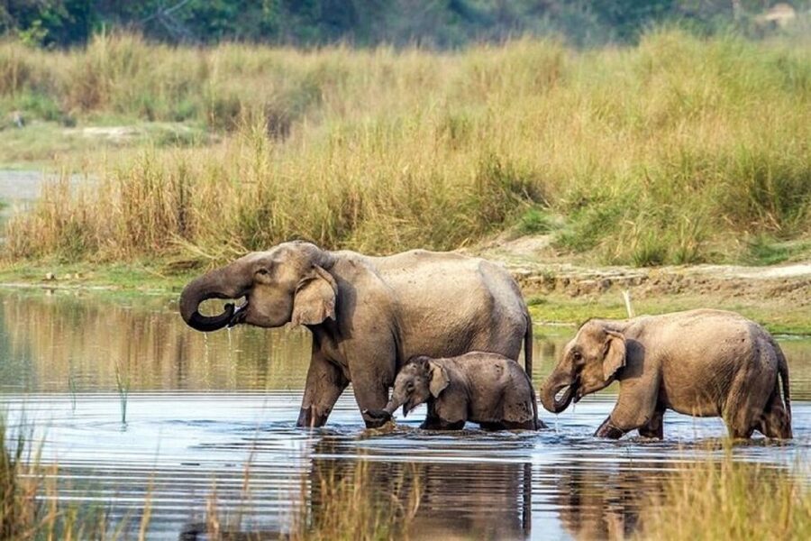 3-Day Chitwan Jungle Safari Adventure From Kathmandu/Pokhara - Day one: the road to Sauraha
