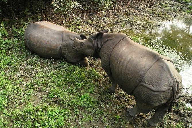 3-Day Chitwan Jungle Safari Tour from Kathmandu - Hotel, meals, and what the $392 covers