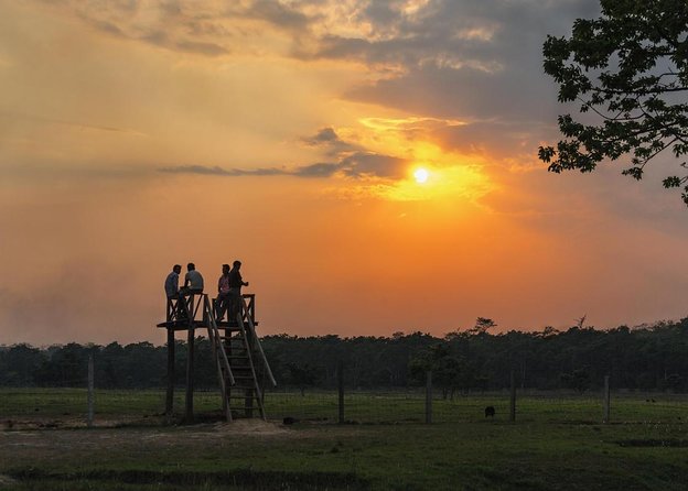 3-Day Chitwan National Park Jungle Safari Tour Package with Pick Up - Key points to know before you book