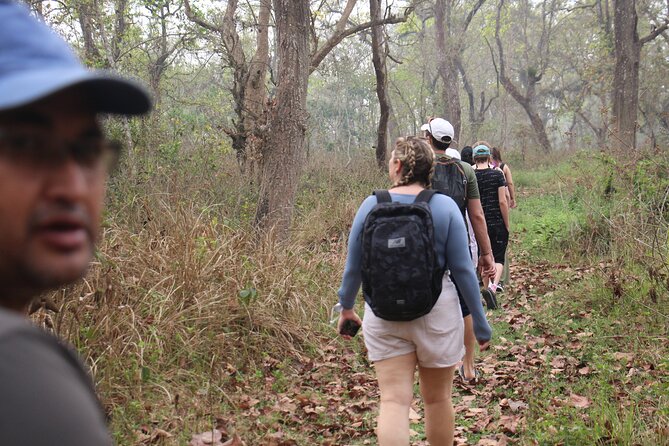 3-Day Chitwan National Park Jungle Safari Tour Package with Pick Up - Arrival from Kathmandu and settling near Sauraha