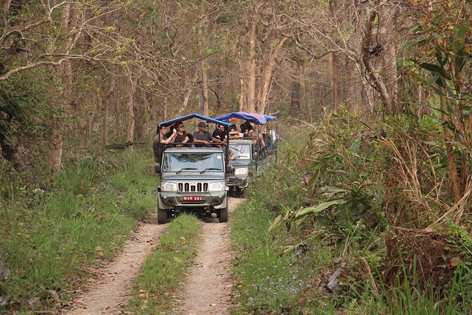 3-Day Chitwan National Park Jungle Safari Tour Package with Pick Up - The Rapti River canoe ride at 7:00 AM