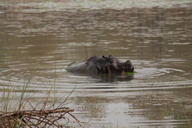 3-Day Chitwan National Park Jungle Safari Tour Package with Pick Up - Two nights at the resort and included meals