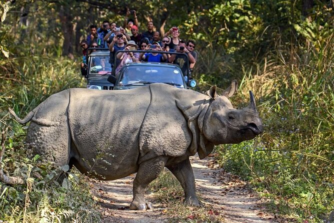 3-Day Chitwan National Park Jungle Safari Tour Package with Pick Up - Who will get the best value from this trip