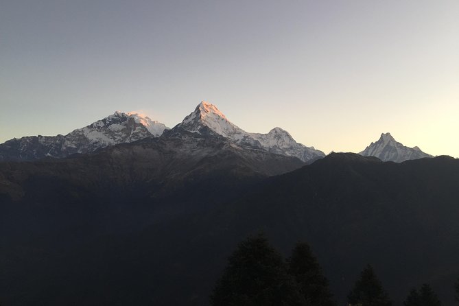 3-Day Poon Hill Trek from Pokhara. - Walking through forests, fields, and mountain villages