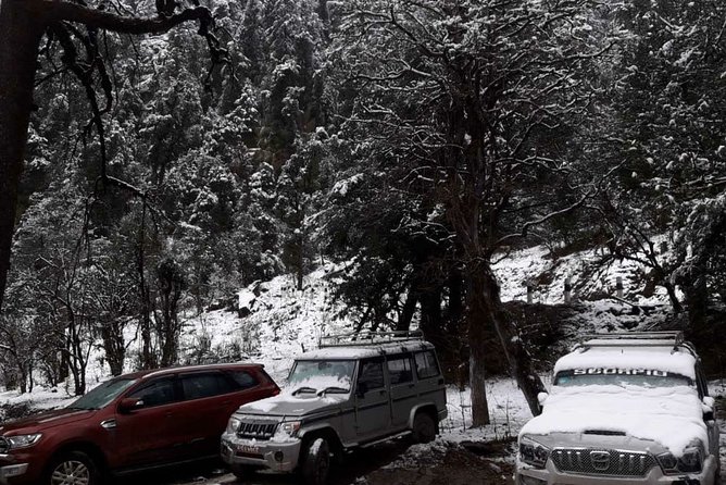 3 Days Kalinchowk Trekking from Kathmandu - Day two: Kuri to snow-covered Kalinchowk