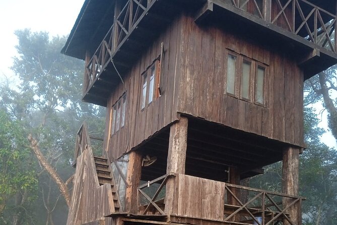 3 Nights 4 Days Chitwan National Park with Tower Night Stay - Why the tower night gives this Chitwan trip its character