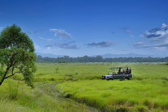 3 Nights 4 Days Chitwan National Park with Tower Night Stay - The long road from Kathmandu or Pokhara