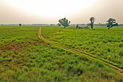 3 Nights 4 Days Chitwan National Park with Tower Night Stay