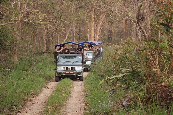 3 Nights 4 Days Chitwan National Park with Tower Night Stay - What the tower night is really like