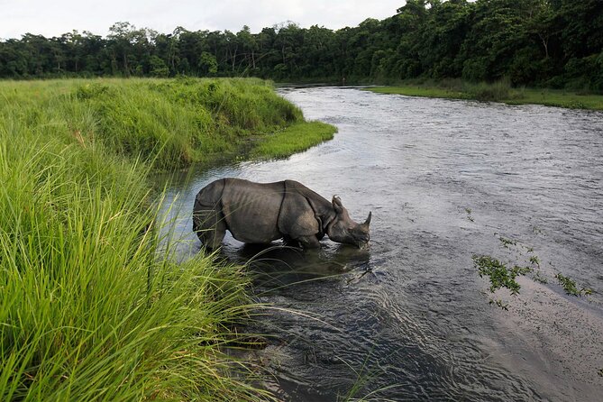 3 Nights 4 Days Chitwan National Park with Tower Night Stay - Is $424 a fair price?