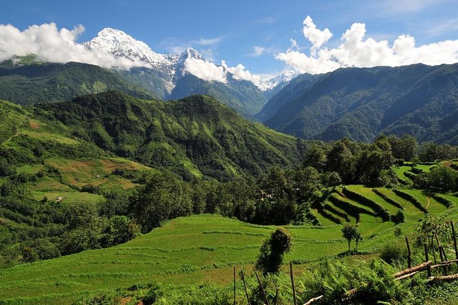 4-day Poon Hill Trek - A guide, a porter, and a lighter pack