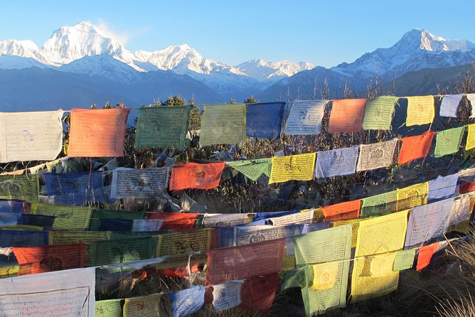 4-Day Private Poon Hill Trekking Tour - Day two: Ulleri to Ghorepani through rhododendron forest