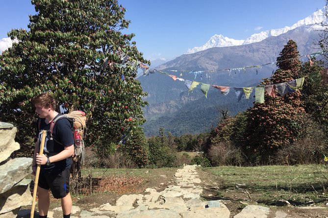 4 Days Poon Hill Trek from Pokhara - Day 3: Poon Hill sunrise, then onward to Tadapani