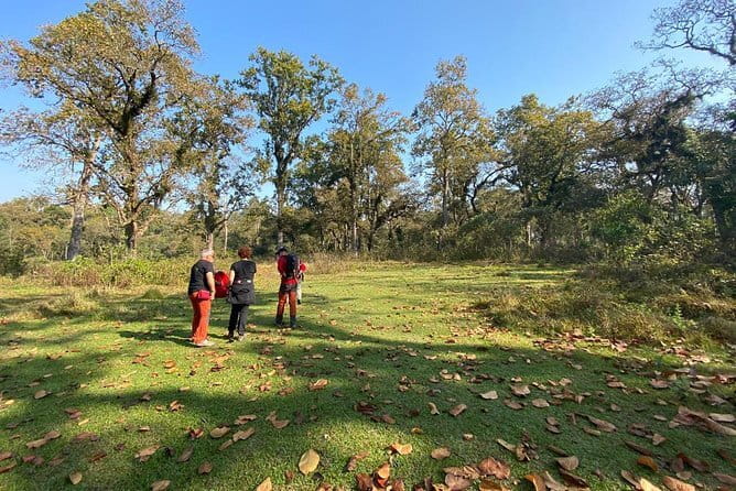 5 Day Private Guided Trekking in Annapurna Base Camp - Day 5: Back through bamboo to Siwai and Pokhara