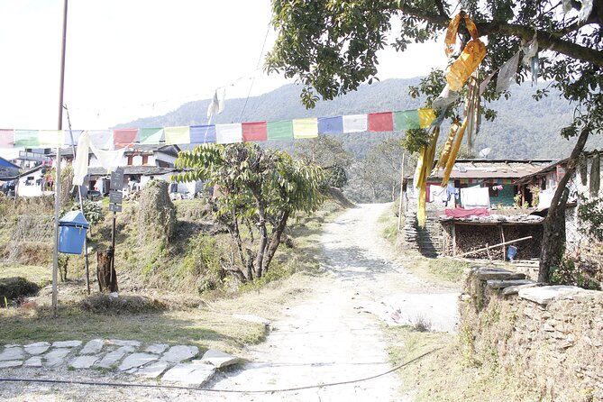 7 Days Langtang Valley Trek from Kathmandu - Day 3: Forest trails, chortens, and Langtang views