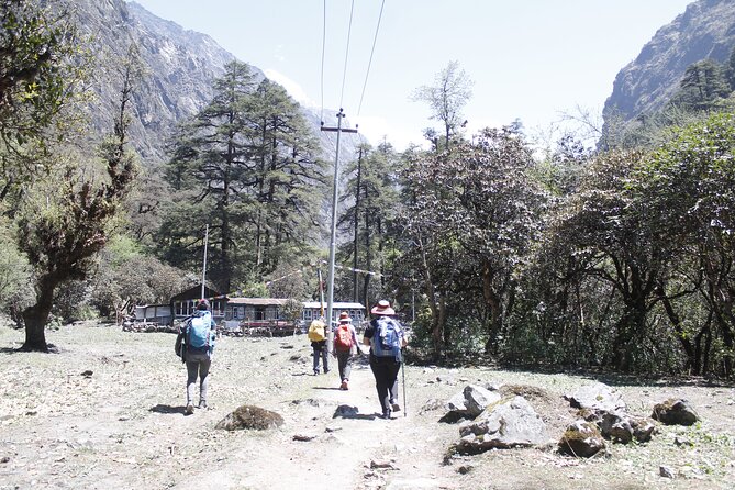 7 Days Langtang Valley Trek from Kathmandu - Day 6: Five hours down to Syabrubesi