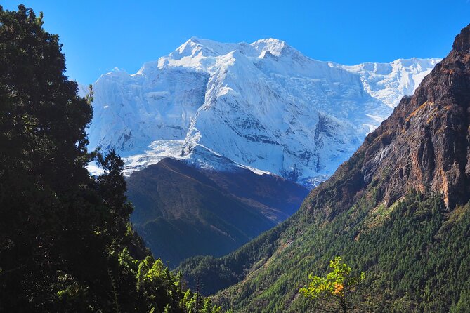 8 Days Private Guided Trekking in Annapurna Circuit with Pickup - Day 5: Yak Kharka through Letdar