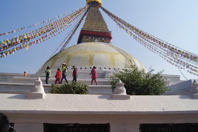 8 Days Special Nepal Tour Package - Day 5: From the forest to Pokhara’s lakeside