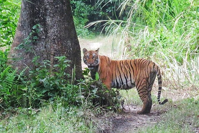 8 Days Tour in Nepal (Accommodation at 5 Star Hotel) - Three sides of Nepal in eight days
