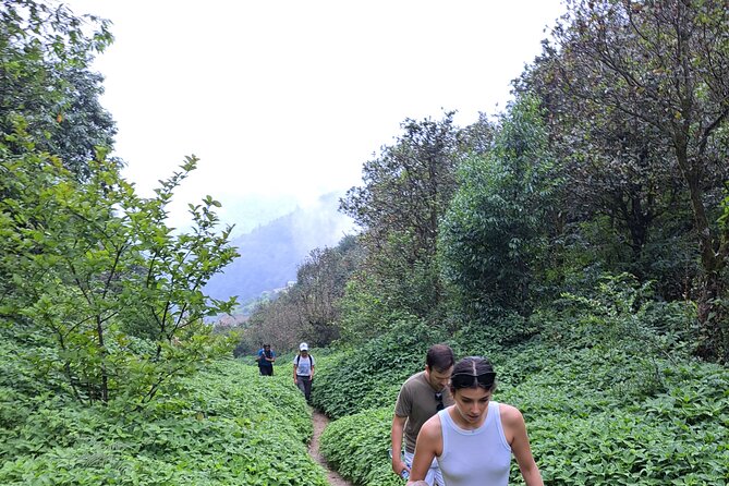 Amazing 1 Day Trekking Experience in Kathmandu Nepal - Lunch, transport, and what the price covers